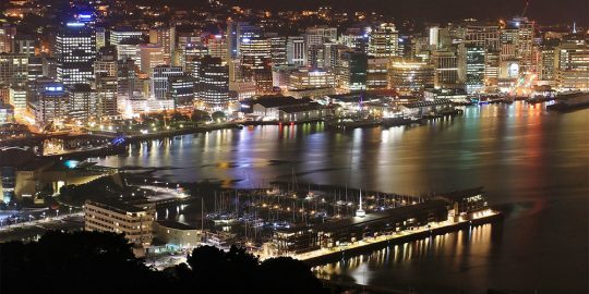 Our People – Wellington Photography Competition - Teaser Image